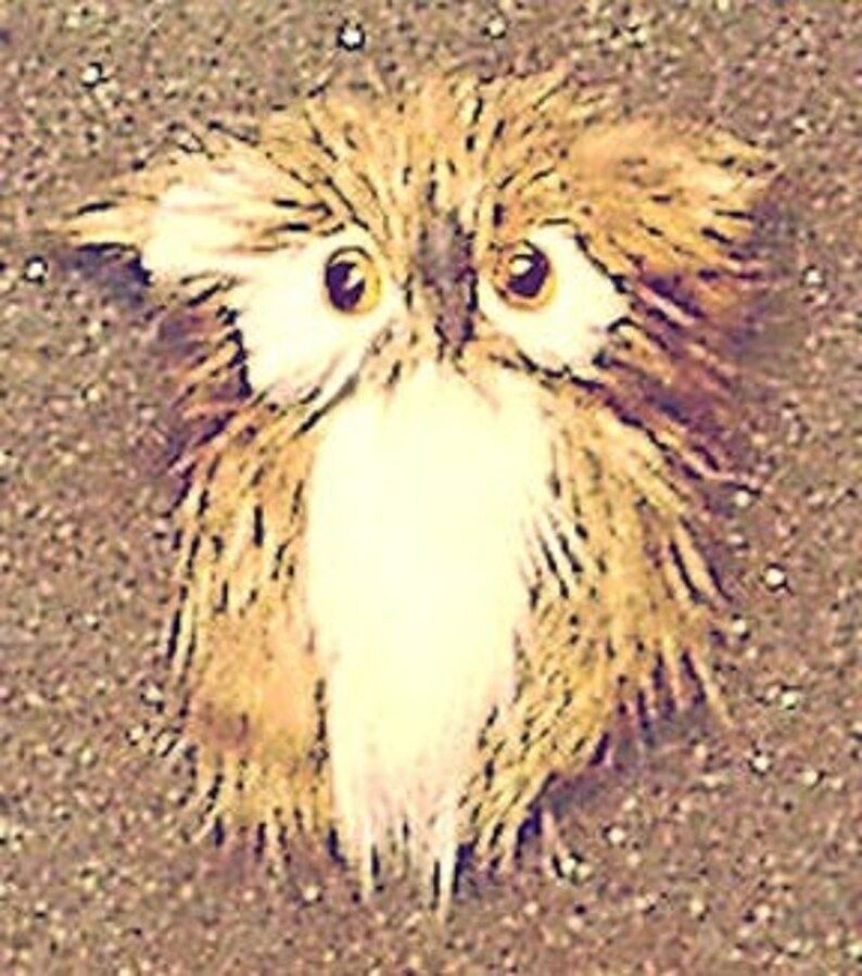 hand-made-furry-owl-animal-refrigerator