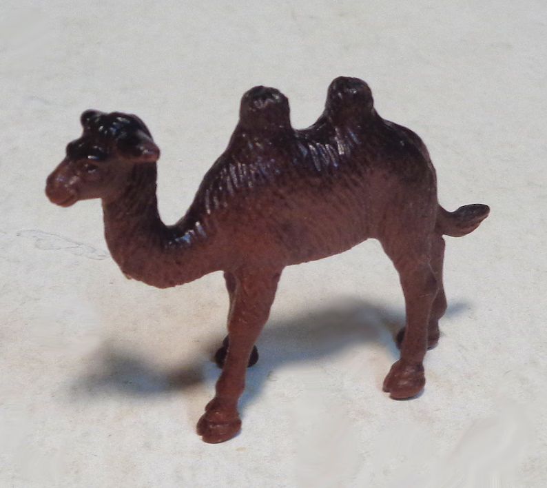 miniature-camel-zoo-animal-approx-2
