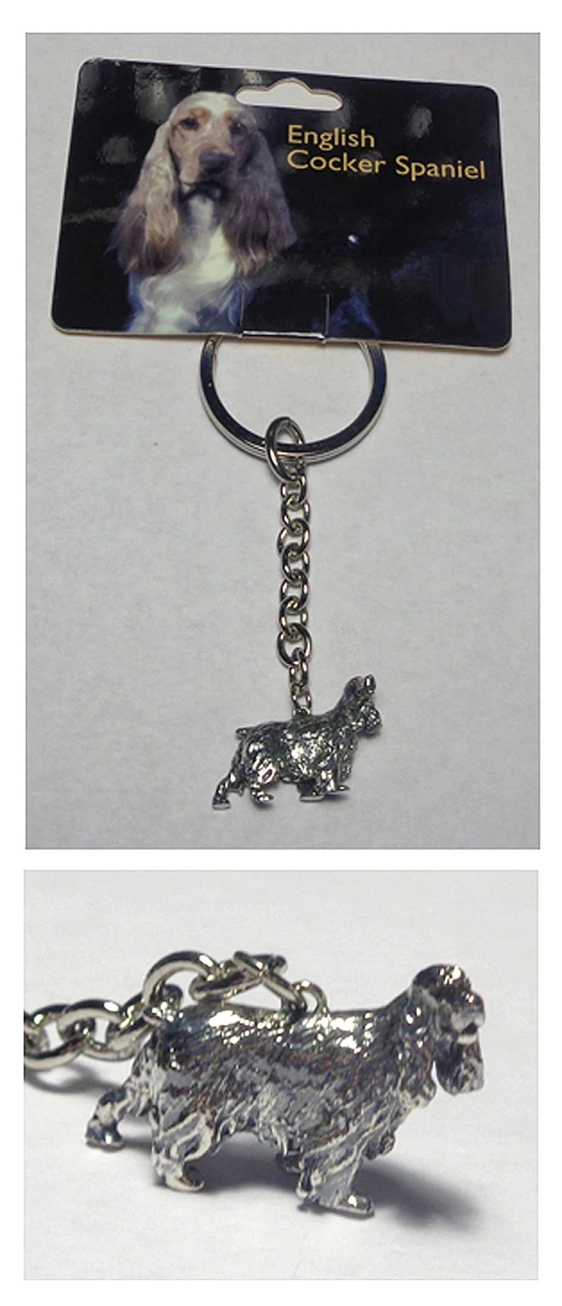 miniature-english-cocker-spaniel-dog