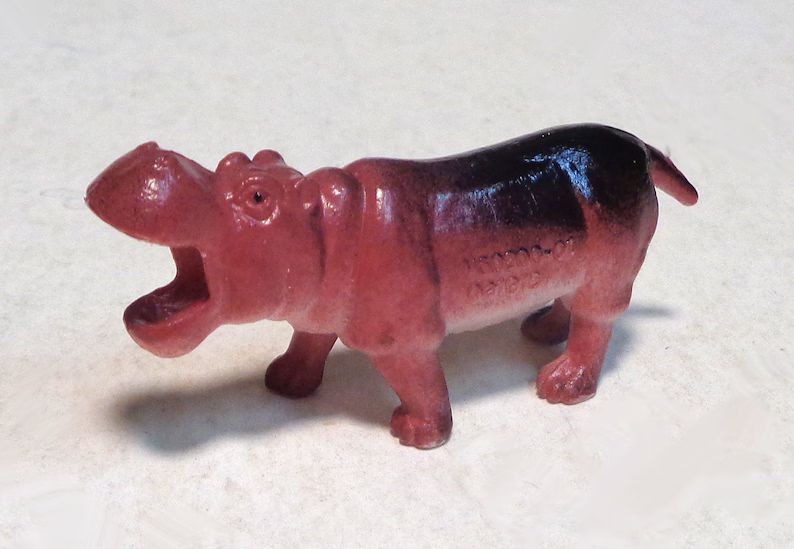 miniature-hippopotamus-zoo-animal-approx