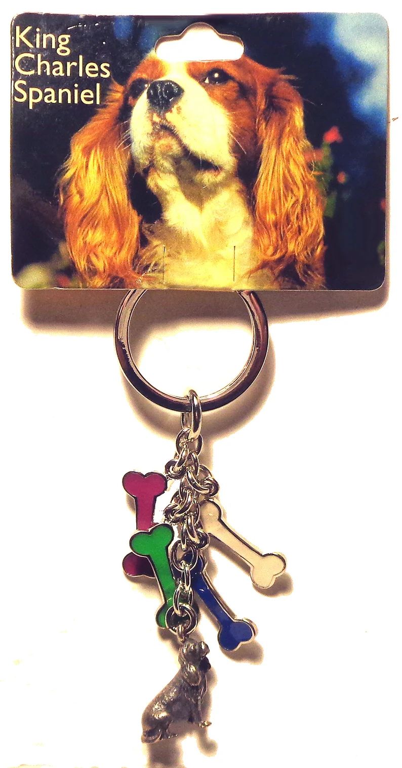 miniature-king-charles-spaniel-dog