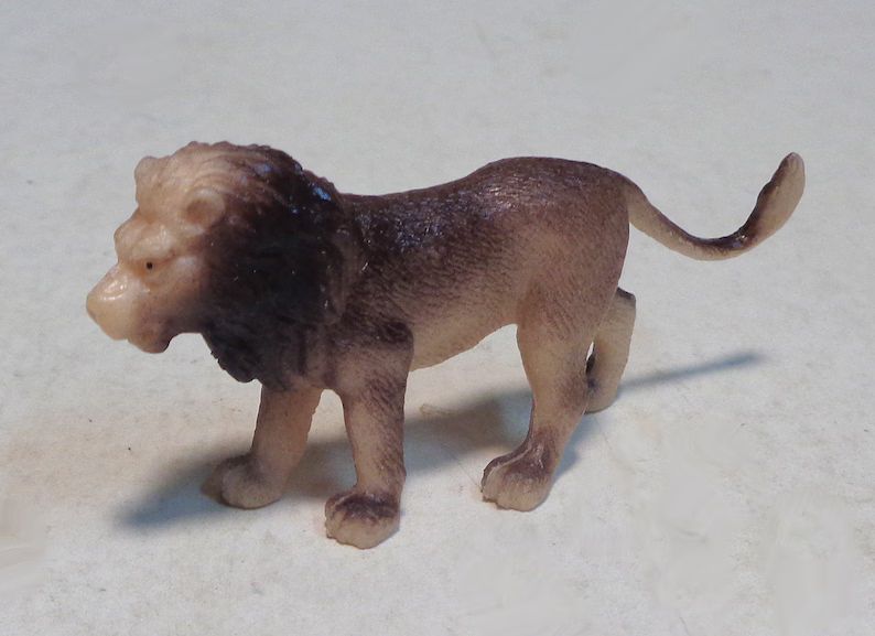 miniature-lion-zoo-animal-approx-25