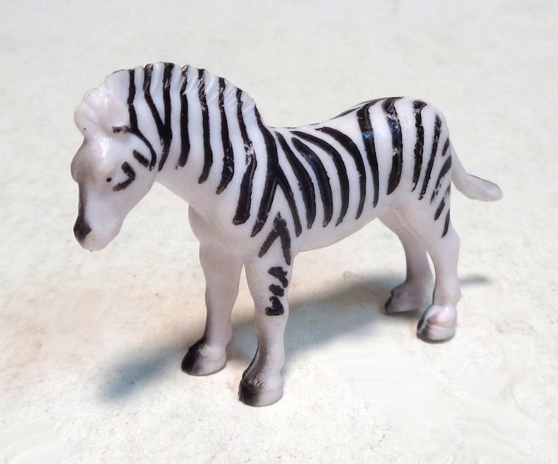 miniature-zebra-zoo-animal-approx-2