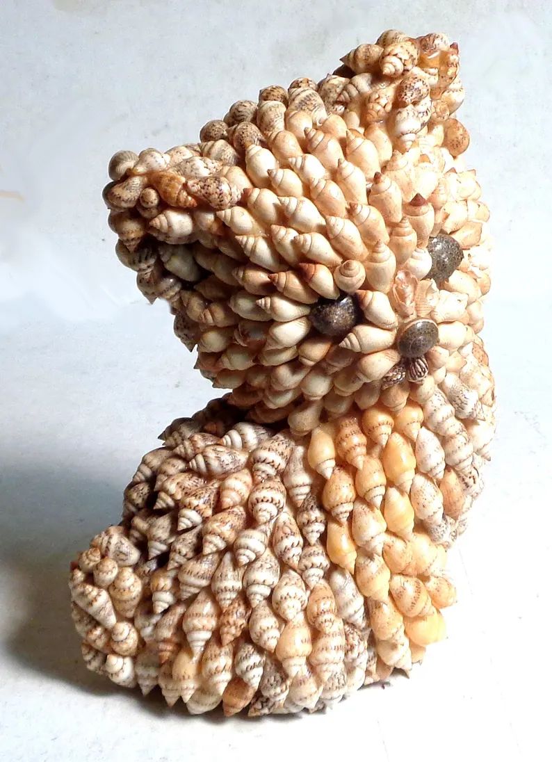 cat-kitten-made-of-sea-shells-approx-6